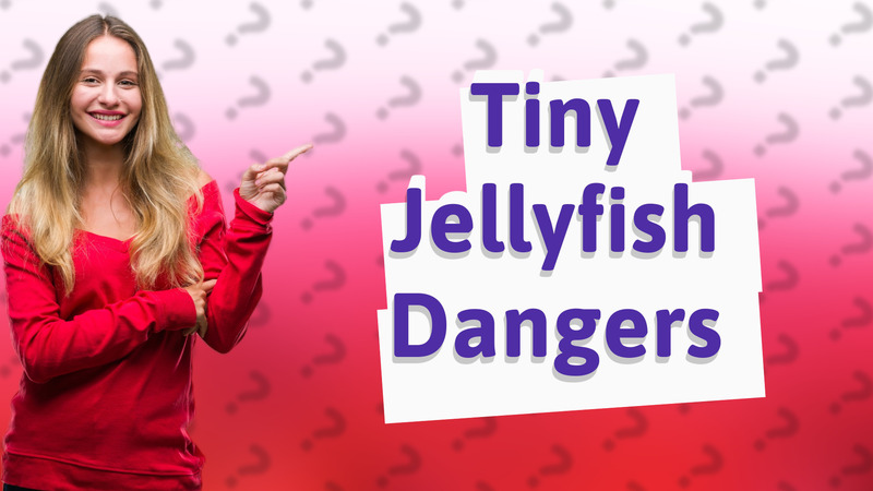 Tiny Jellyfish Dangers