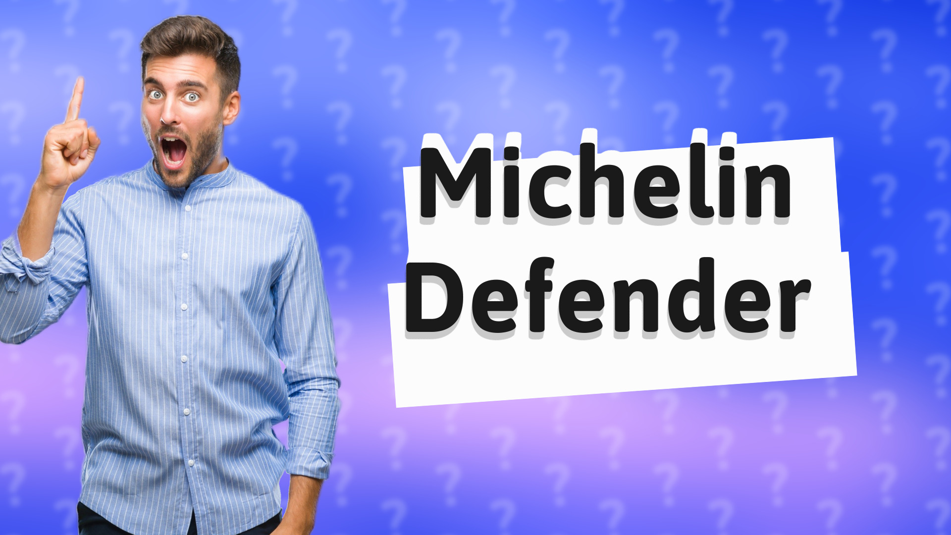 Michelin Defender