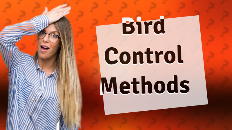 Bird Control Methods