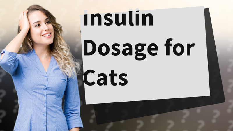 Insulin Dosage for Cats