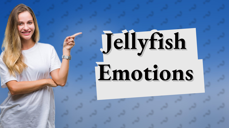 Jellyfish Emotions