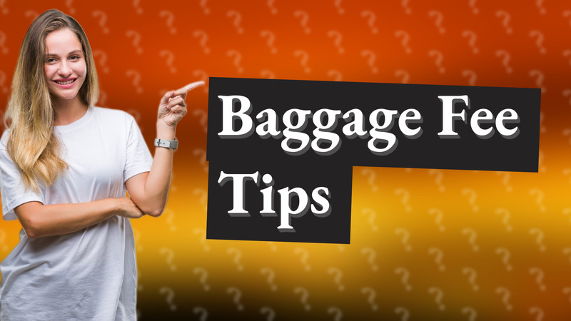 Baggage Fee Tips