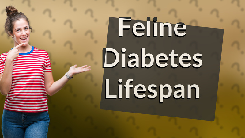 Feline Diabetes Lifespan