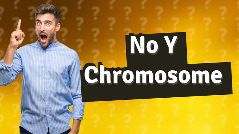 No Y Chromosome