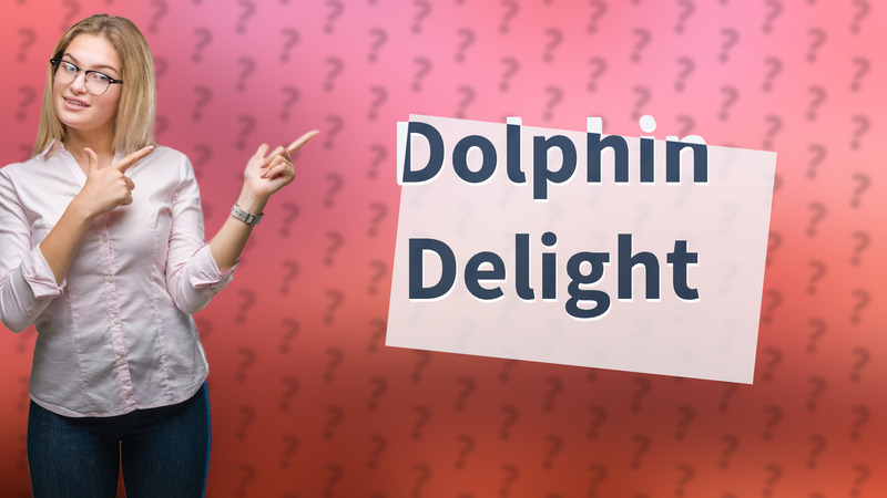 Dolphin Delight