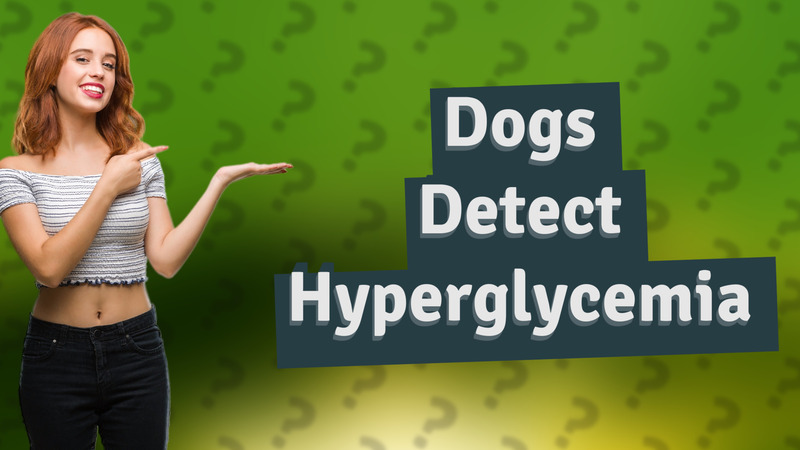 Dogs Detect Hyperglycemia