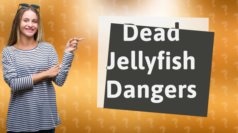 Dead Jellyfish Dangers