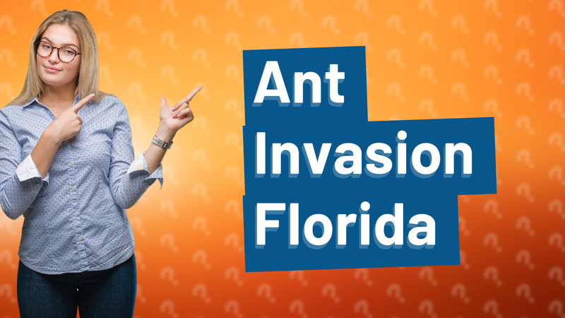 Ant Invasion Florida