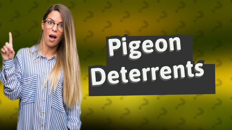 Pigeon Deterrents