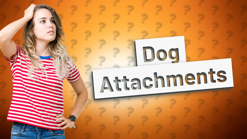 Dog Attachments
