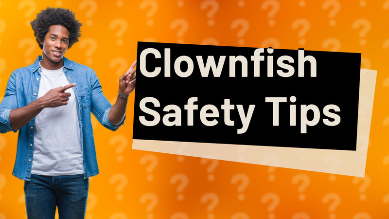 Clownfish Safety Tips