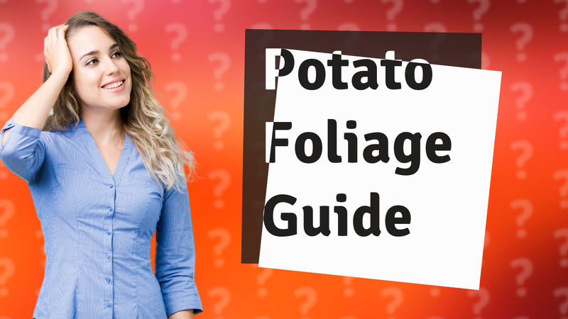 Potato Foliage Guide