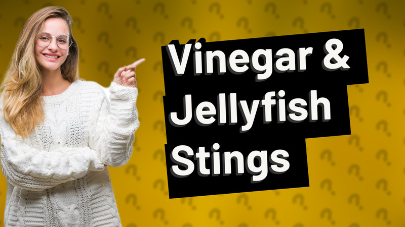 Vinegar & Jellyfish Stings