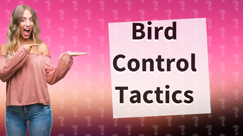 Bird Control Tactics