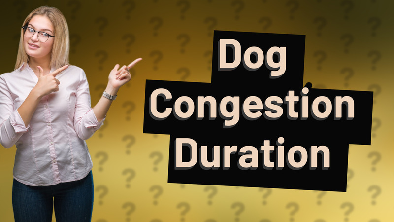 Dog Congestion Duration