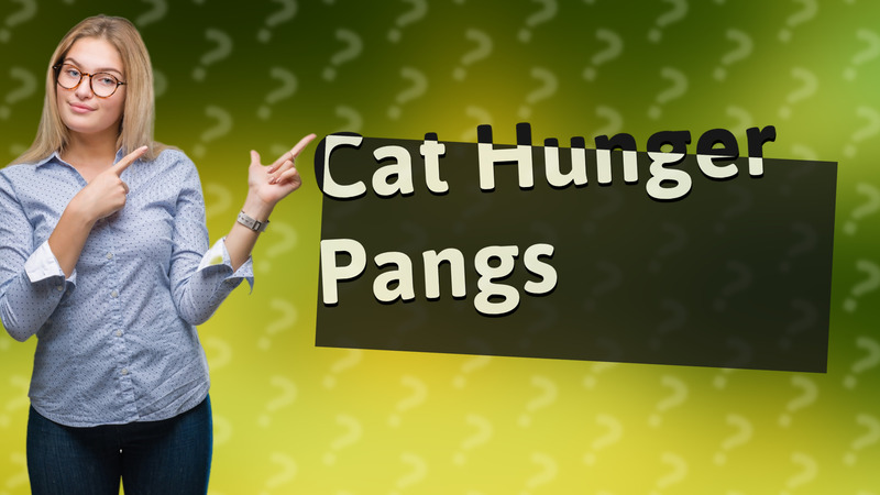 Cat Hunger Pangs