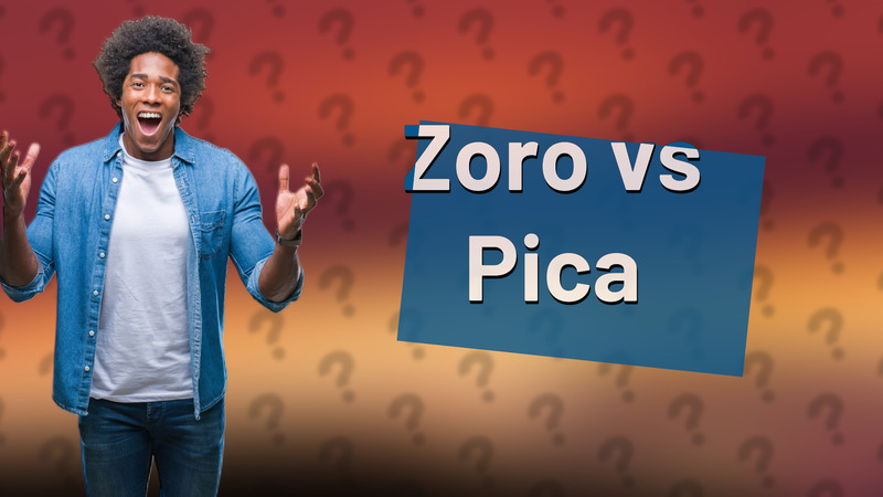 Zoro vs Pica