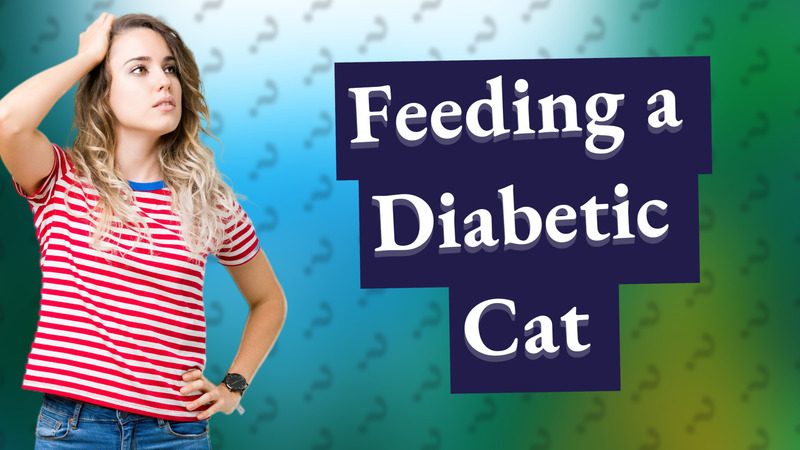 Feeding a Diabetic Cat