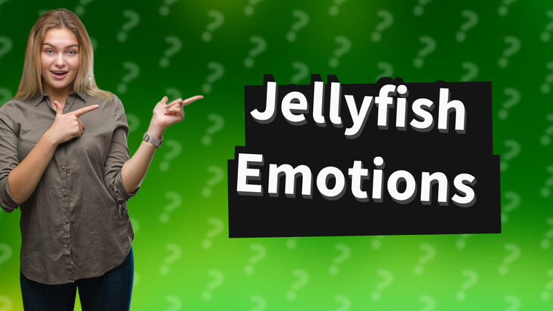 Jellyfish Emotions