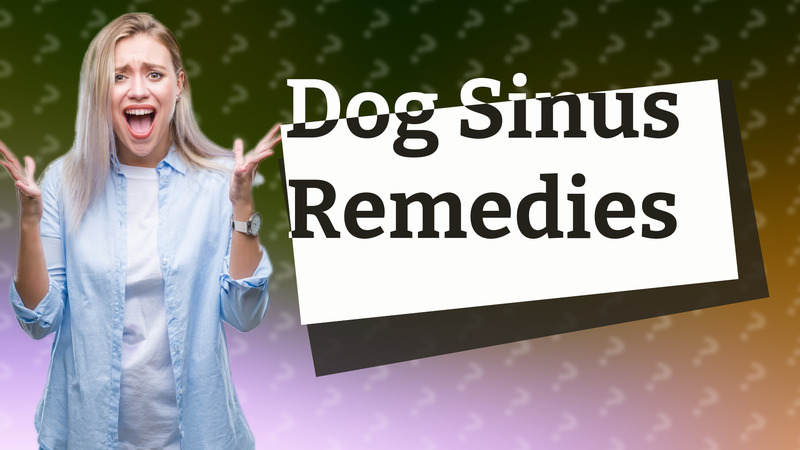 Dog Sinus Remedies