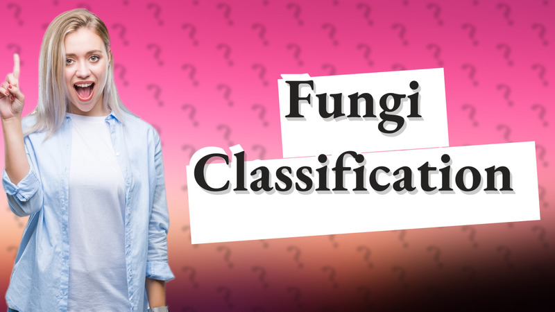 Fungi Classification