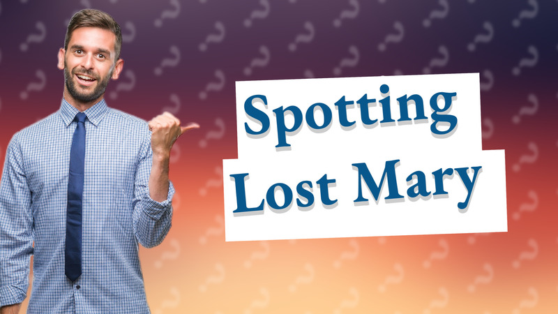 Spotting Lost Mary