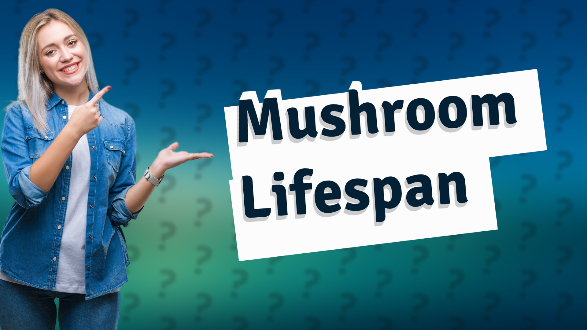 Mushroom Lifespan