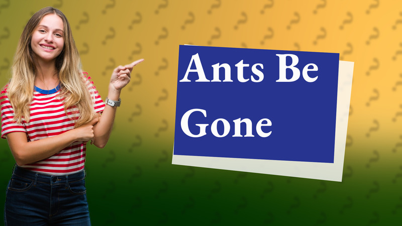 Ants Be Gone