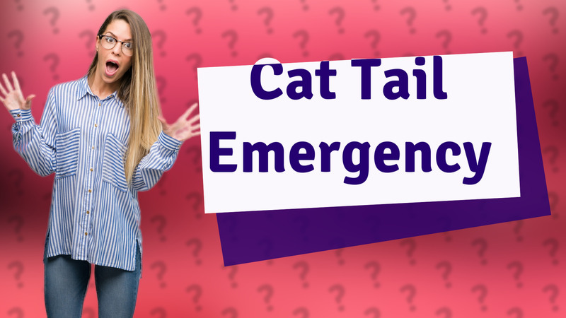Cat Tail Emergency