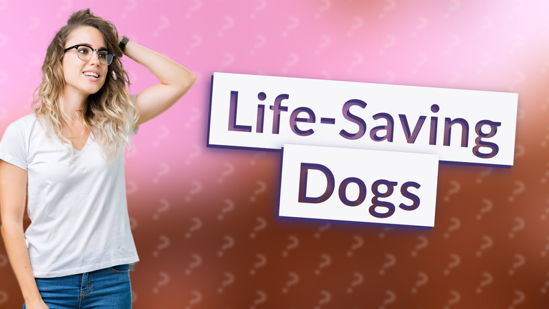 Life-Saving Dogs