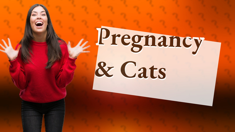 Pregnancy & Cats