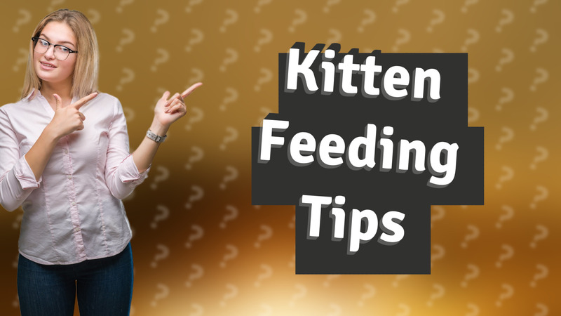 Kitten Feeding Tips