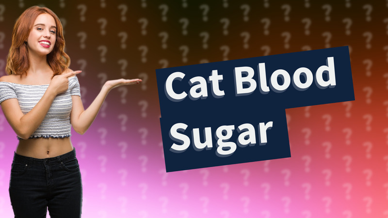 Cat Blood Sugar