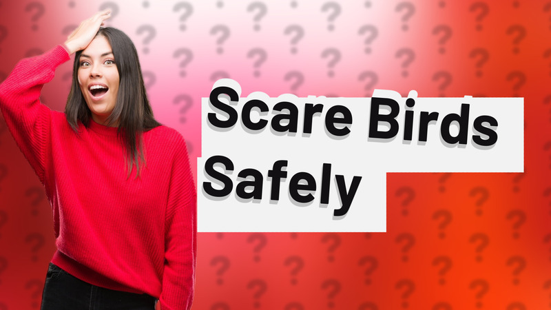 Scare Birds Safely