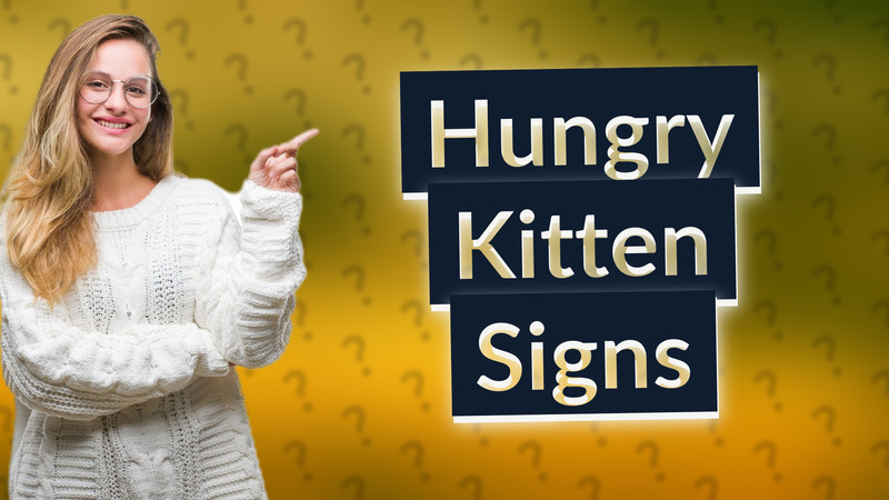 Hungry Kitten Signs