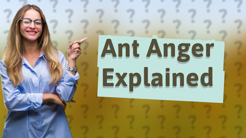 Ant Anger Explained