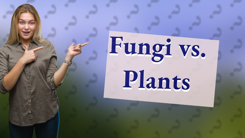 Fungi vs. Plants