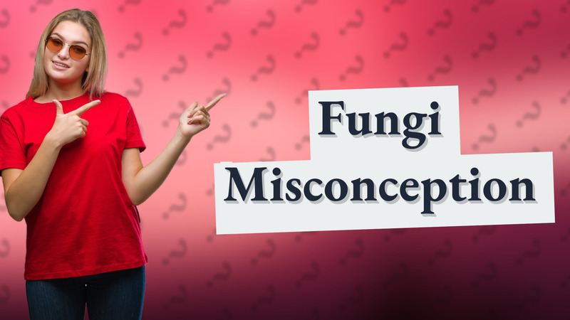 Fungi Misconception