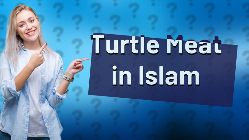Turtle Meat in Islam