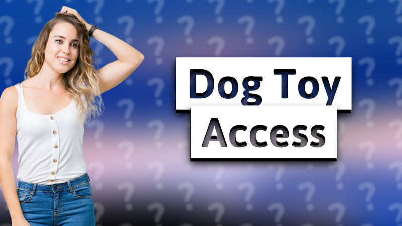 Dog Toy Access