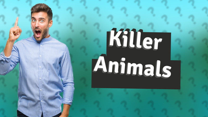 Killer Animals