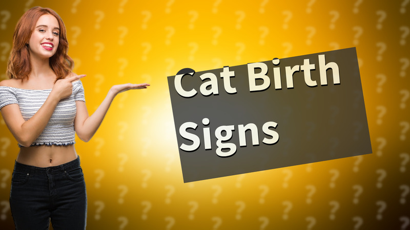 Cat Birth Signs