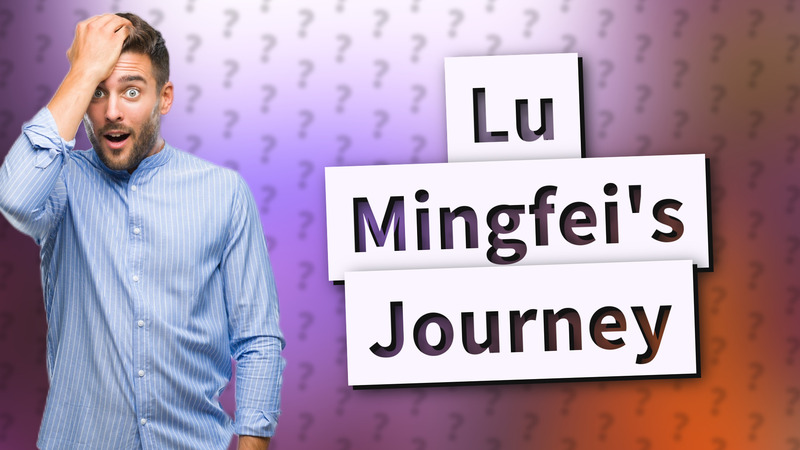 Lu Mingfei's Journey