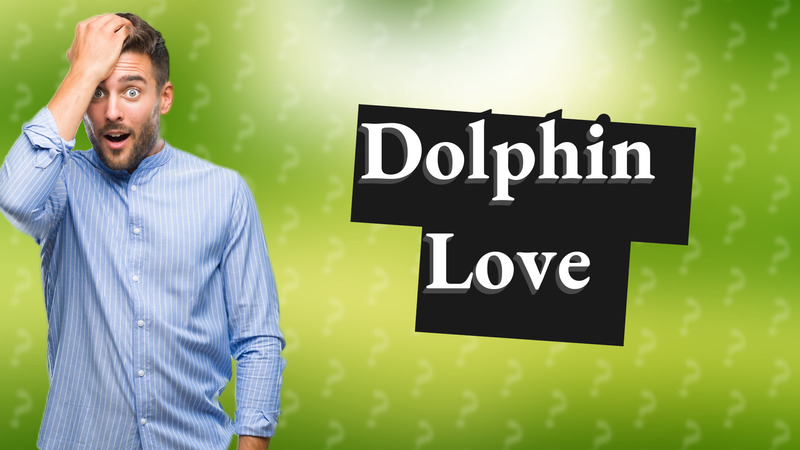 Dolphin Love