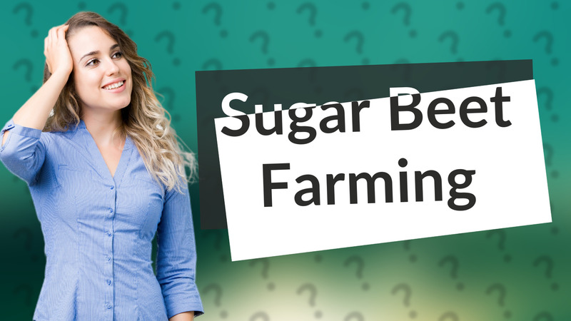 Sugar Beet Farming