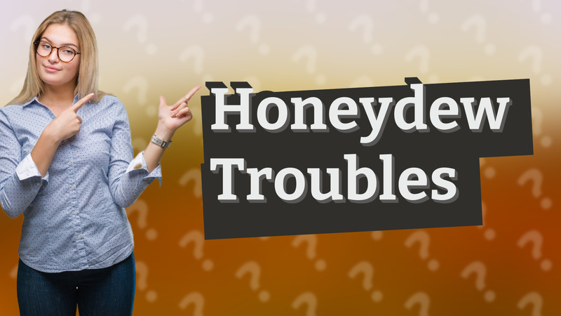 Honeydew Troubles