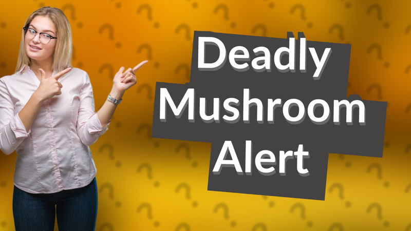Deadly Mushroom Alert