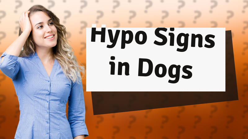 Hypo Signs in Dogs