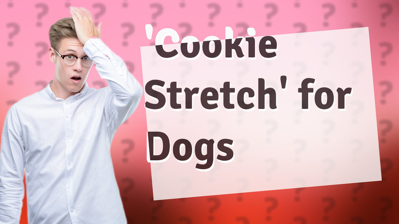 'Cookie Stretch' for Dogs