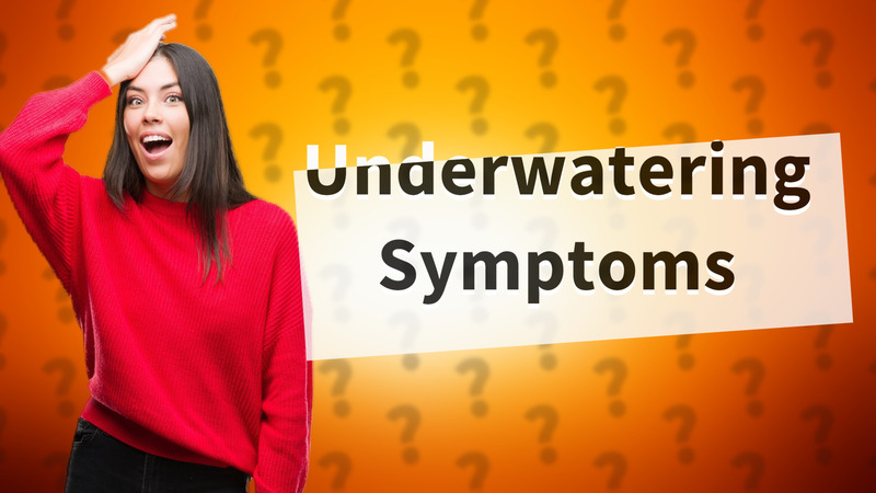 Underwatering Symptoms